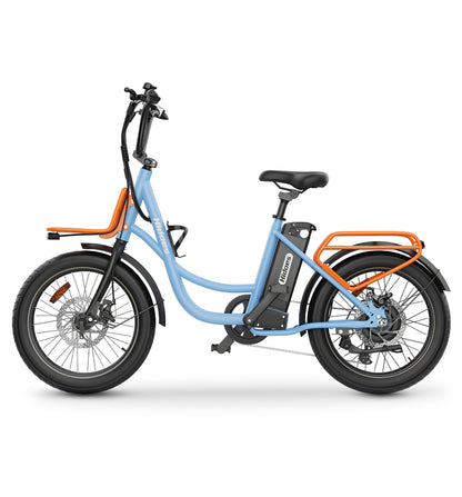 Hidoes C6 Electric Bike – 250W Motor | 36V 13Ah Battery | 15.5 MPH Max Speed | 22 Miles Range