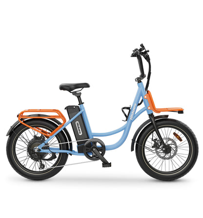Hidoes C6 Electric Bike – 250W Motor | 36V 13Ah Battery | 15.5 MPH Max Speed | 22 Miles Range