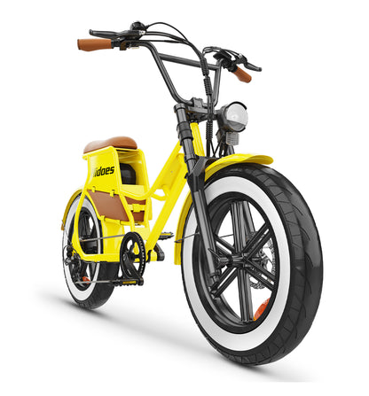 Hidoes C8 Electric Bike – 250W Motor | 48V 17Ah Battery | 15.5 MPH Max Speed | 34 Miles Range