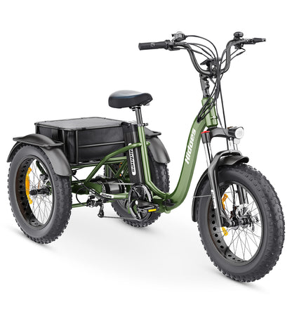 Hidoes ET1 Electric Bike – 250W Motor | 48V 15Ah Battery | 25 km/h Max Speed | Up to 55 km Range
