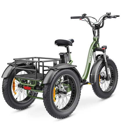 Hidoes ET1 Electric Bike – 250W Motor | 48V 15Ah Battery | 25 km/h Max Speed | Up to 55 km Range