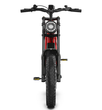 HIDOES B6 Electric Bike